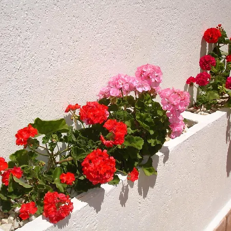 Terraced House - Apartament *