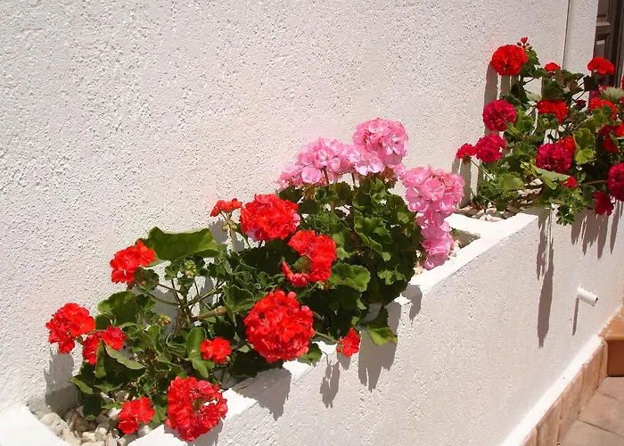 Terraced House - Apartament *